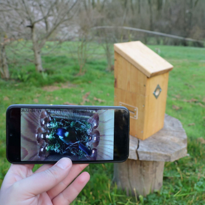 Nichoir connecté 32 mm