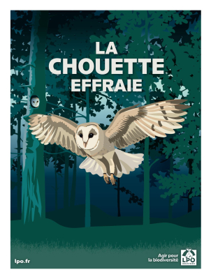 Affiche LPO vintage Chouette effraie