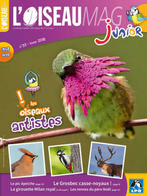 L'Oiseau Magazine Junior n°33