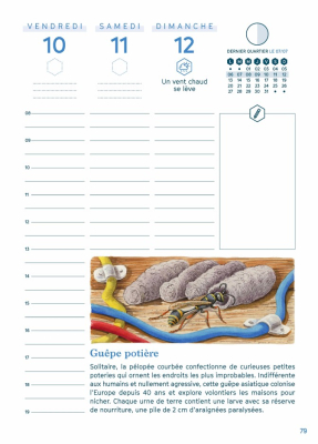 Agenda de la nature au jardin 2026