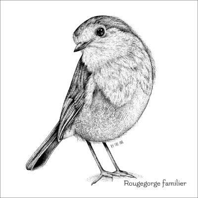 Carte postale avec enveloppe - Rougegorge familier