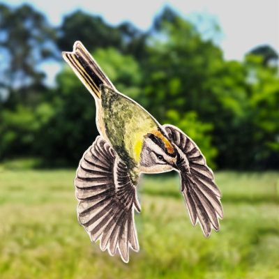 Anti-collisions électrostatiques Oiseaux des campagnes - Lot de 3