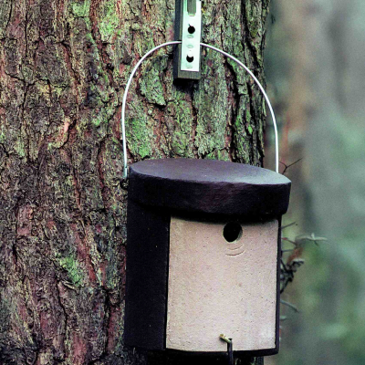 Nichoir Schwegler 5KL pour sittelle 32 mm 