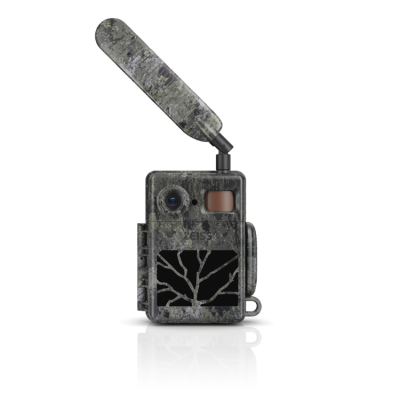 Piège photographique Zeiss Secacam 7