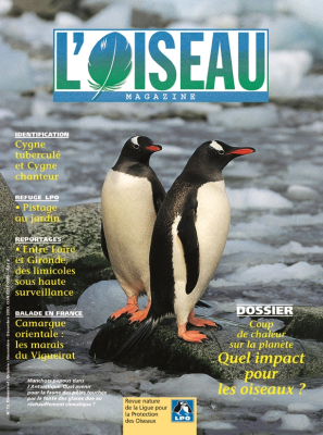 L'Oiseau Mag n° 73
