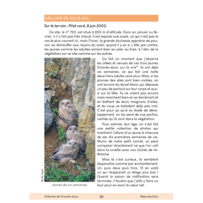 Histoires de Grands-Ducs