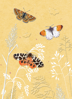 Carte Ann Mortimer Papillons