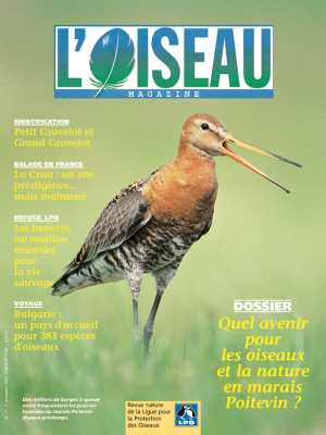 L'Oiseau Mag n° 71