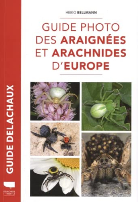 Guide photo des araignées et arachnides d'Europe