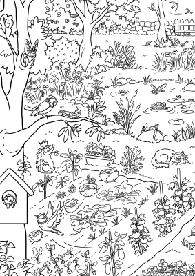 Frise de coloriage LPO, 4 saisons au jardin