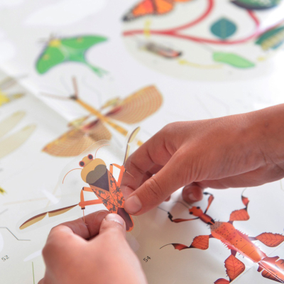 Poster pédagogique 44 stickers - Insectes