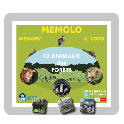 Memolo XL - 12 animaux des forêts