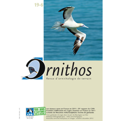Ornithos N°19/6, Novembre-Décembre 2012