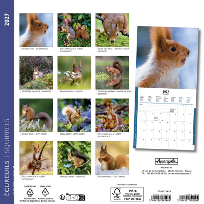 Calendrier 2027 Ecureuils 16,5 x 16,5 cm