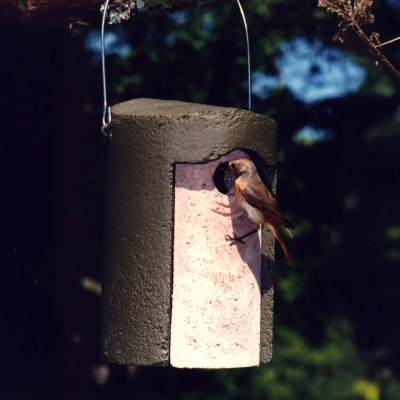 Nichoir Schwegler 1B 32 mm