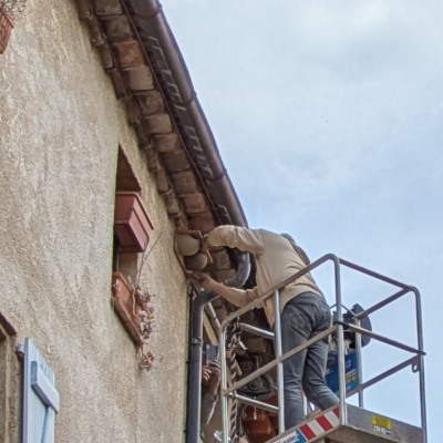 Nid double pour hirondelles de fenêtre