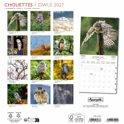 Calendrier 2027 Chouettes 30 x 30 cm