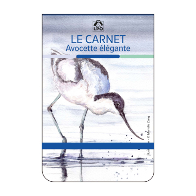 Carnet LPO - Avocette élégante