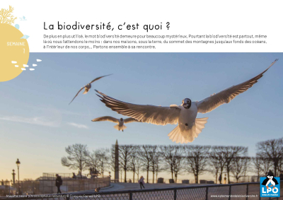 L'éphéméride LPO de la biodiversité