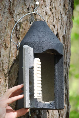 Gîte à chauve-souris Schwegler 2F DPF