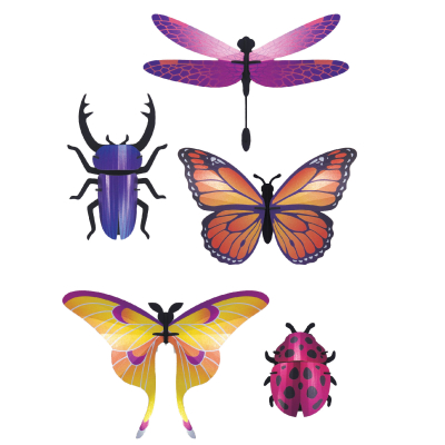 Insectes 3D en papier, DIY
