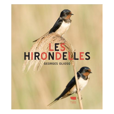 Les hirondelles