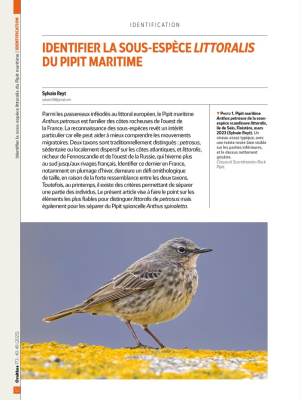 Ornithos n°173 - 4ème trim. 2025