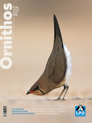 Ornithos n°174 - 1er trim. 2026