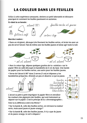 Mon grand cahier buissonnier