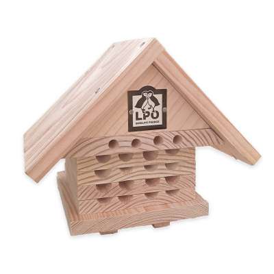 Ruche interactive LPO pour abeilles