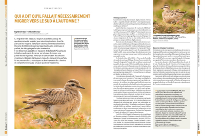 Ornithos n°170 - 1er trim. 2025