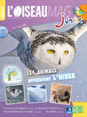 L'Oiseau Magazine Junior n°9