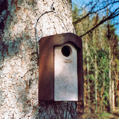 Nichoir Schwegler 3S à étourneau