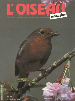 L'Oiseau Mag n° 11
