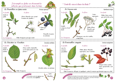 Les cahiers techniques - Je découvre la HAIE