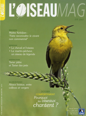 L'Oiseau Mag n° 87