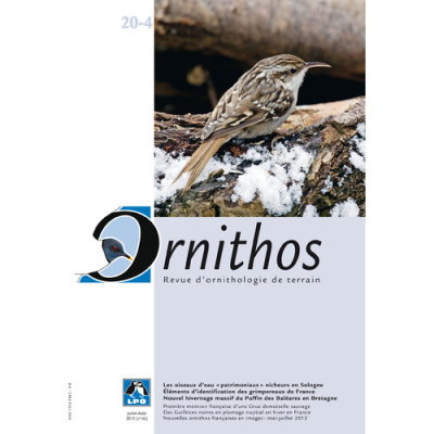 Ornithos N°20/4, Juillet-Août 2013