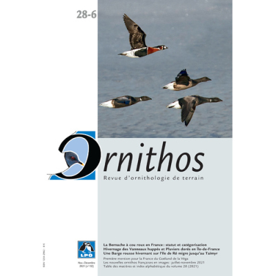 Ornithos N°28/6, Novembre-Décembre 2021