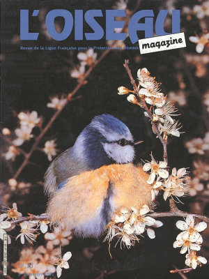 L'Oiseau Mag n° 23
