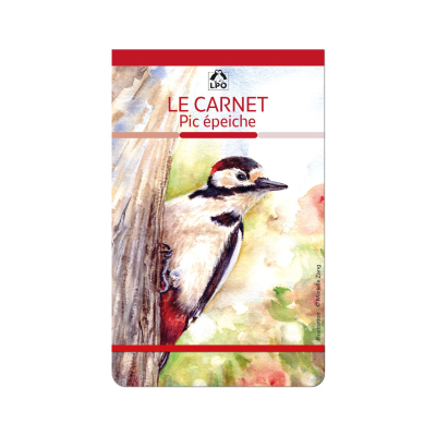 Carnet LPO - Pic épeiche