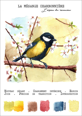 Carte postale - La Mésange charbonnière