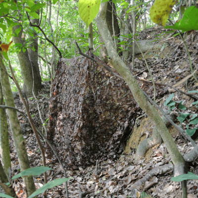 Filet de camouflage sous-bois automne 3 x 3 mètres