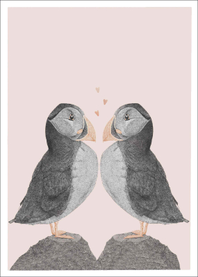 Carte postale Duo de Macareux