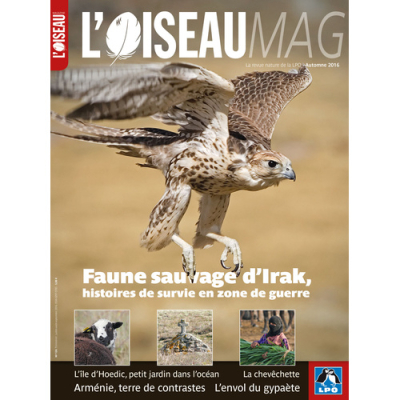 L'Oiseau Mag n°124