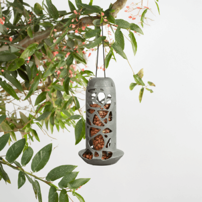 Distributeur Tara pour graines