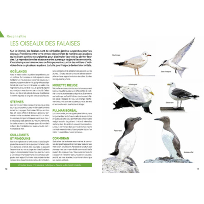 Pays Basque, 22 belles balades