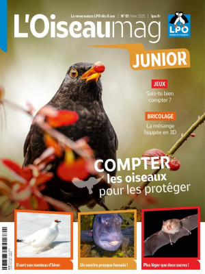 L'Oiseau Magazine Junior n°61 - Hiver 2025