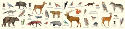 Carte postale double 21 x 10 cm - Animaux des forêts