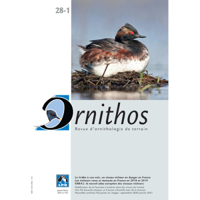 Ornithos N°28/1, Janvier-Février 2021