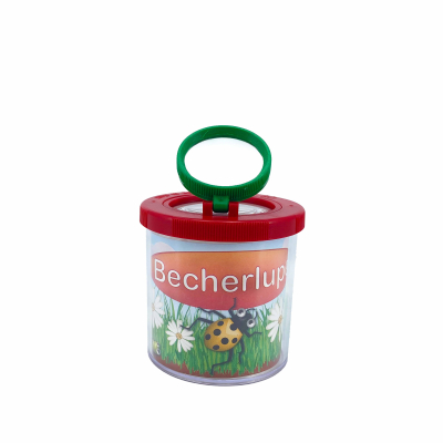 Boîte-loupe à insectes